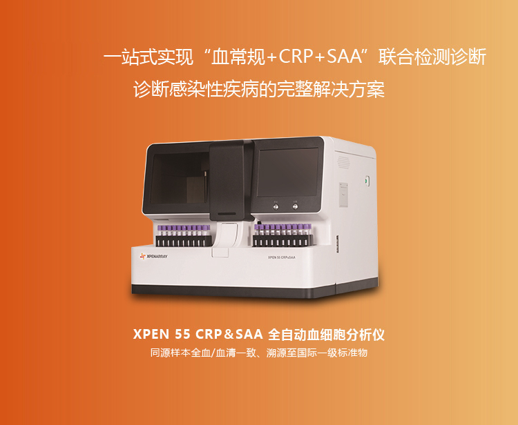 賽斯鵬芯